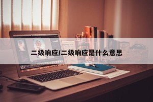 二级响应/二级响应是什么意思