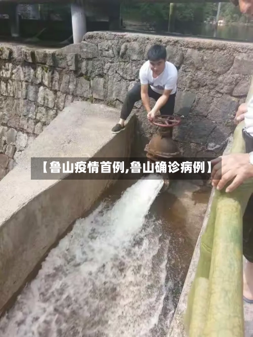 【鲁山疫情首例,鲁山确诊病例】-第1张图片