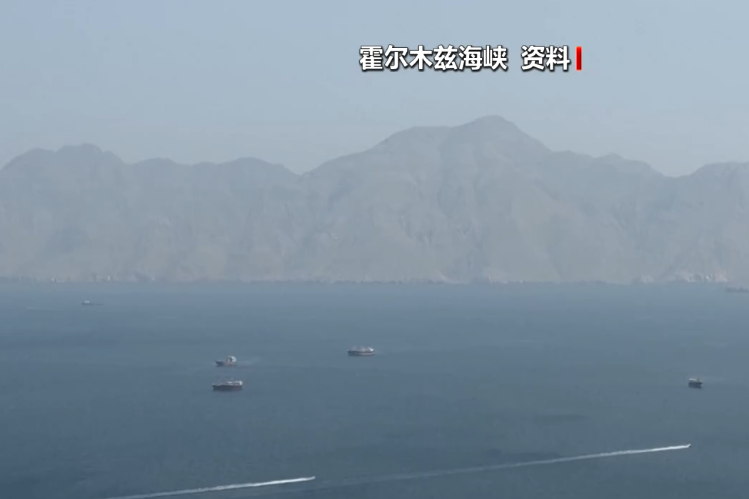 霍尔木兹大消息，伊朗宣布：通行船只须提交申请	，60天内免费，相关费用由伊朗政府承担！德国派军舰前往中东
